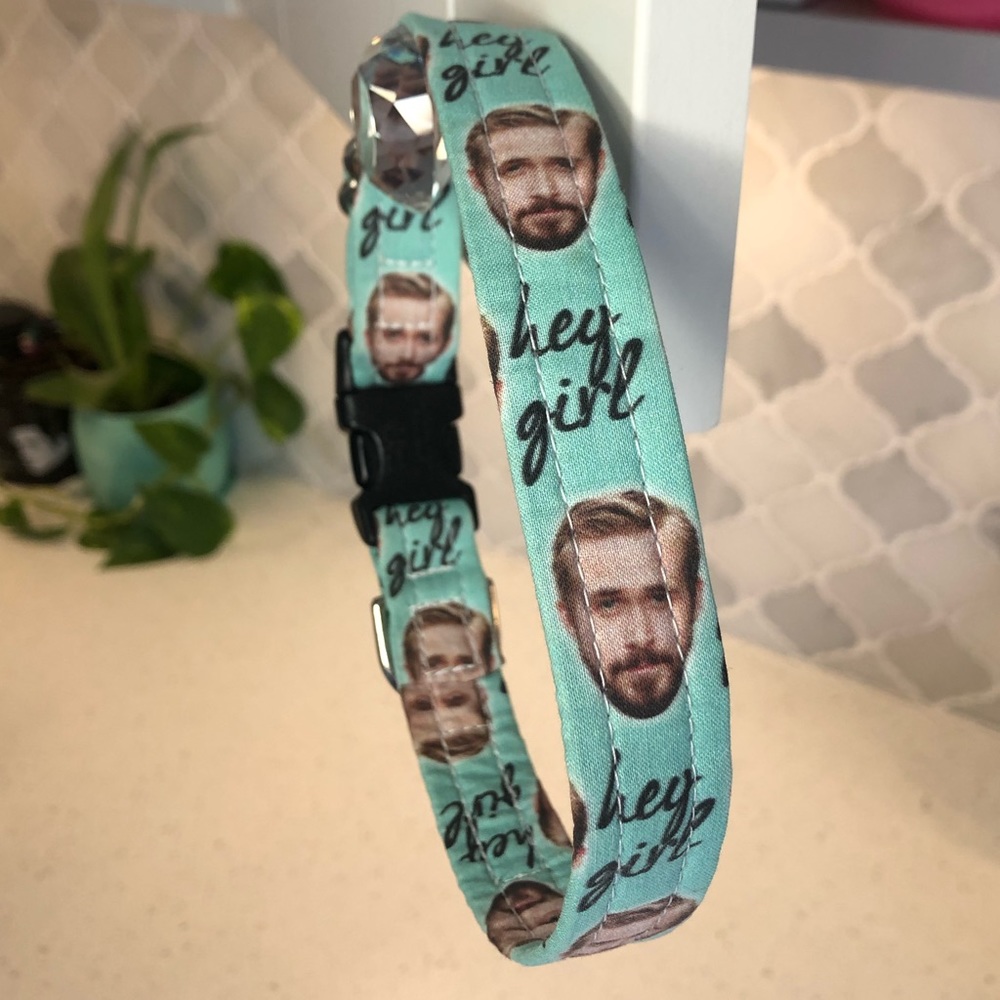 Dog collar: Ryan Gosling ‘Hey Girl’ novelty dog collar - fits 10”- 16” neck